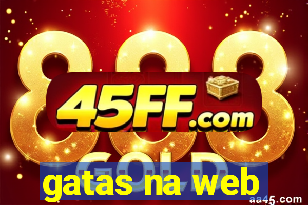 gatas na web